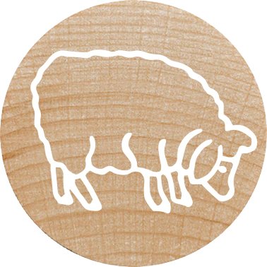 Colop Woodies Mempel-Set "Farm Animation" Retail