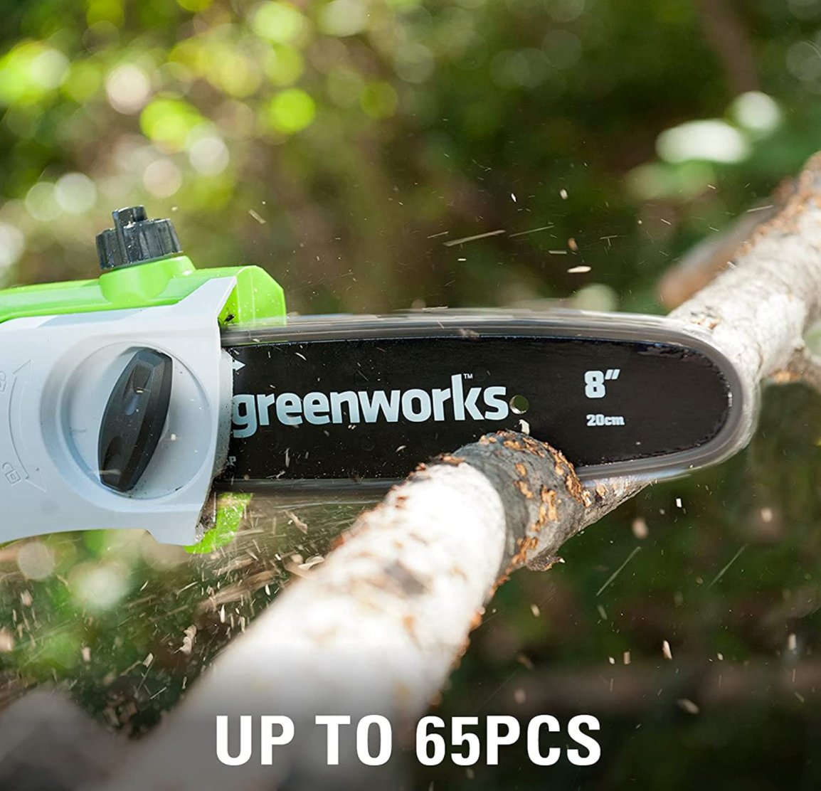 Sierra De Pértiga Y Cortasetos De Pértiga De 24 V Greenworks G24psh - 1303307