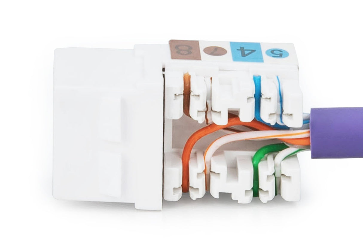 EAN 4016032245100 - Digitus DN-93601 módulo de conector de red imagen 3