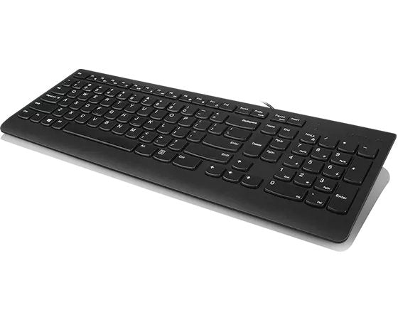 Lenovo 300 Teclado Universal Usb Qwerty Inglés De Ee. Uu. Negro