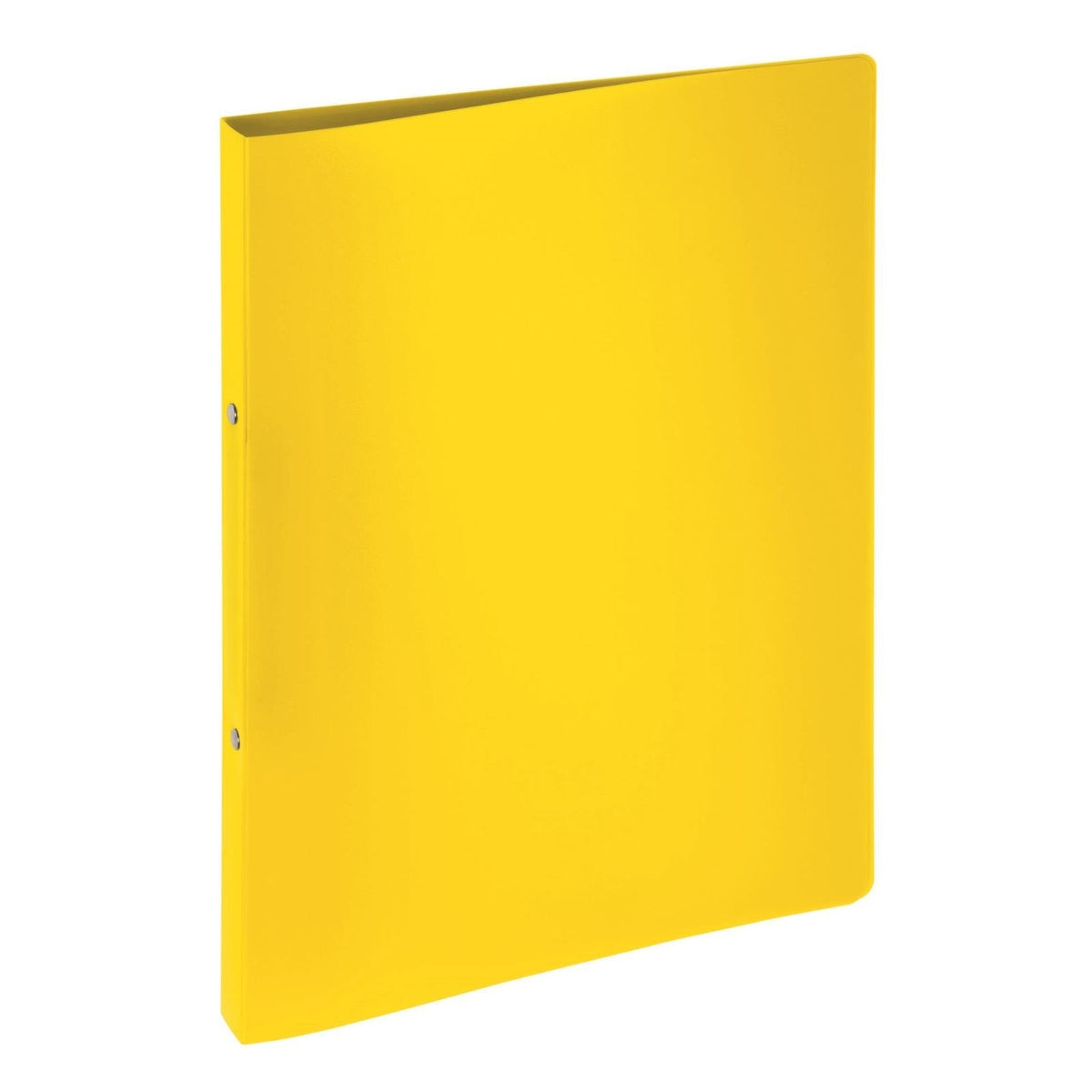 Pagna 20901-04 Carpeta De Cartón A4 Amarillo