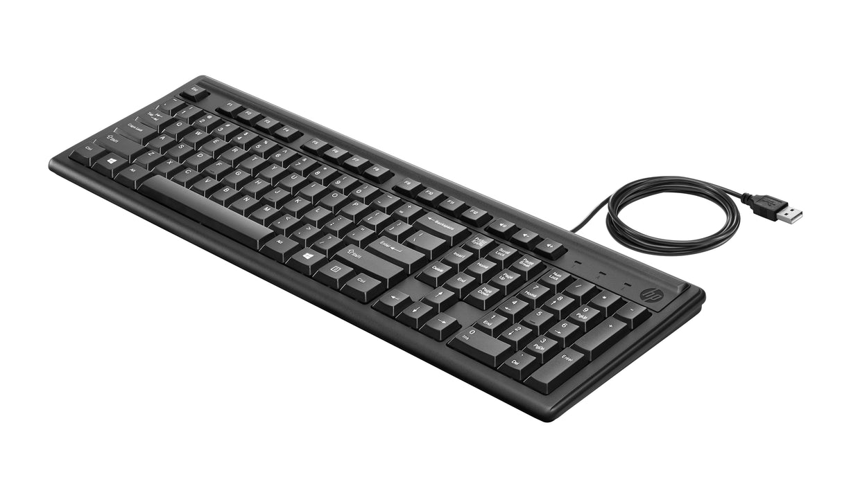 EAN 0194850790638 - HP Keyboard 100 teclado Hogar USB Negro imagen 2