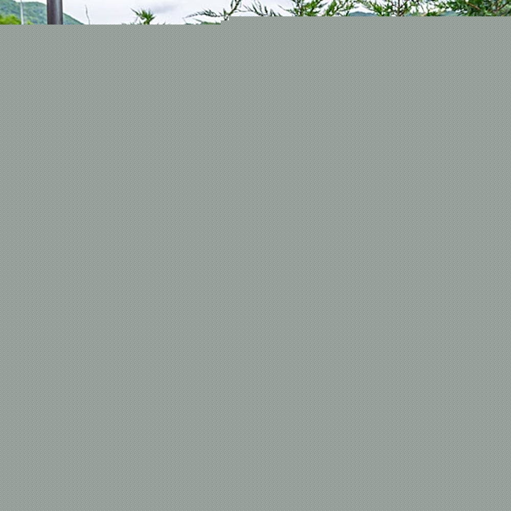 EAN 8010690101590 - Ferplast Rabbit 100 Cobaya, Rabit Gris, Blanco imagen 2