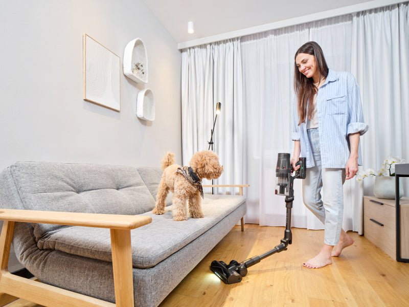 EAN 8590393366491 - Eta Terier 3 v 1 Aspiradora escoba Batería Secar HEPA Sin bolsa 0,5 L 500 W Marrón 4 Ah imagen 24