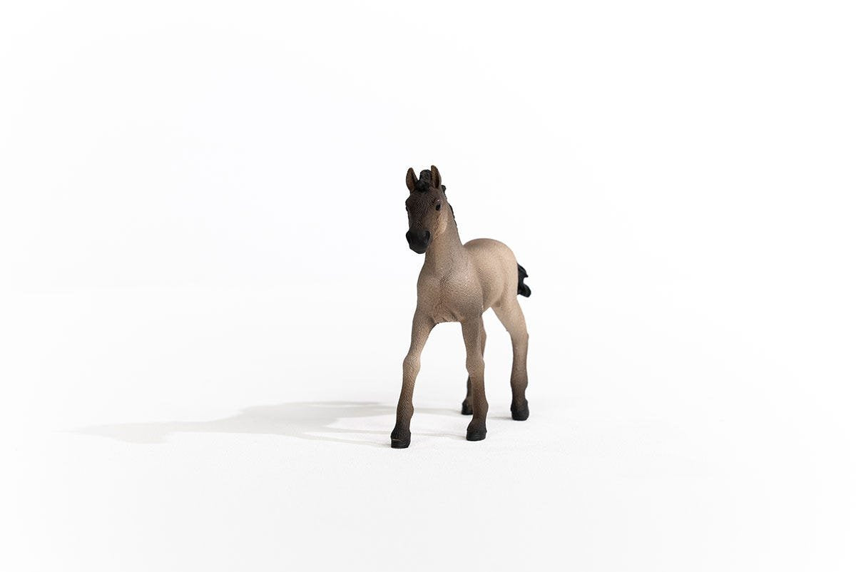 Schleich Horse Club 13949 Criollo Definitivo Fohlen