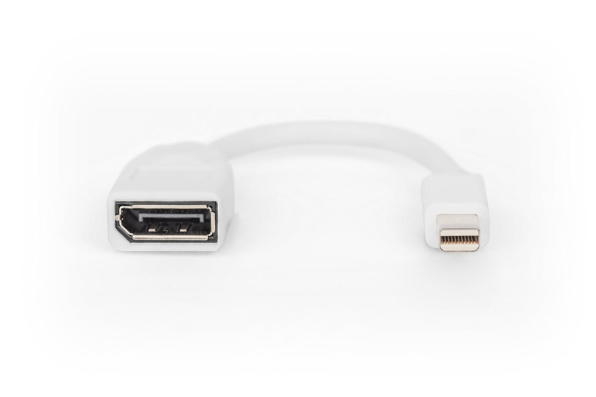 Cable Adaptador Digitus Displayport Blanco, Mini Dp - Dp Db-340405-001-W