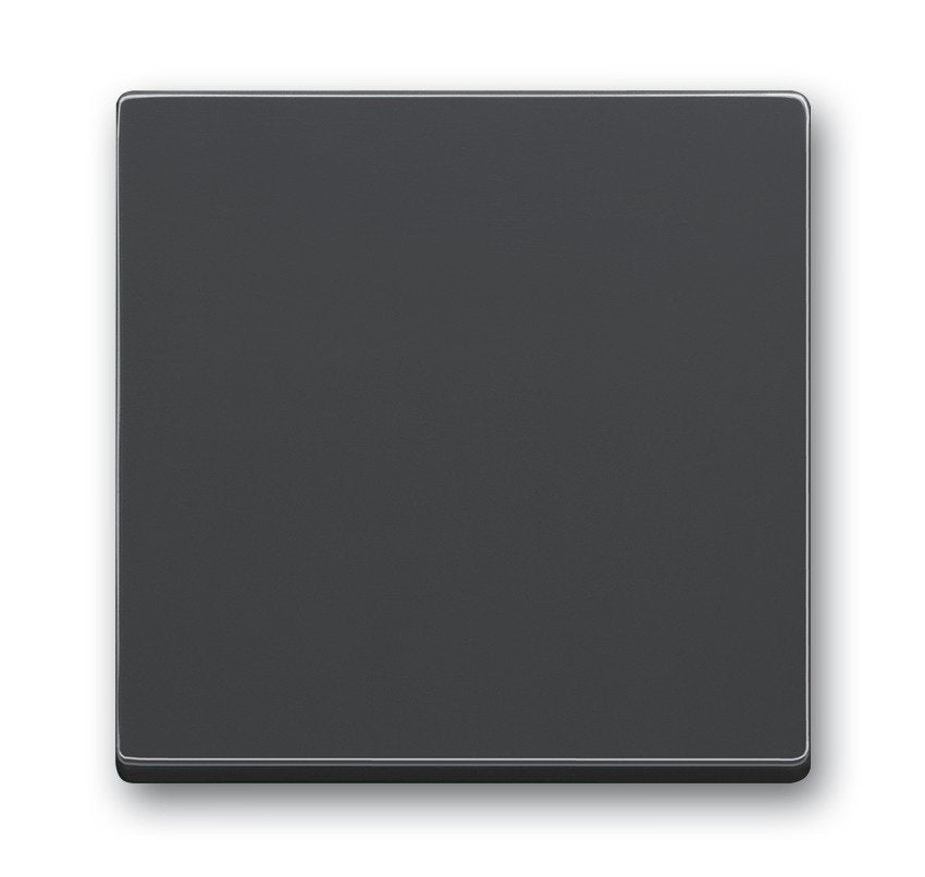EAN 4011395056011 - Busch-Jaeger 1751-0-2926 accesorio de interruptor eléctrico imagen 1
