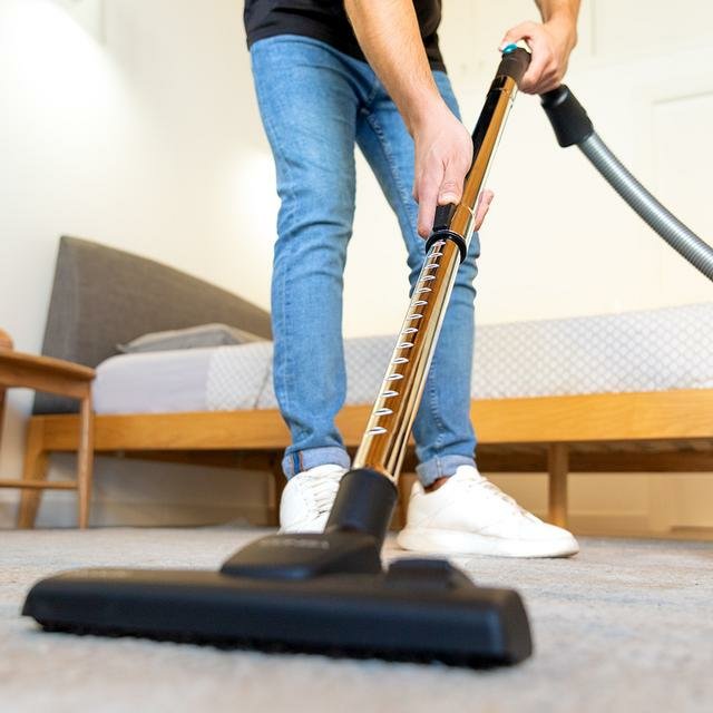 Aspirador Cecotec 08576 Conga Powerbag 2500 Plus