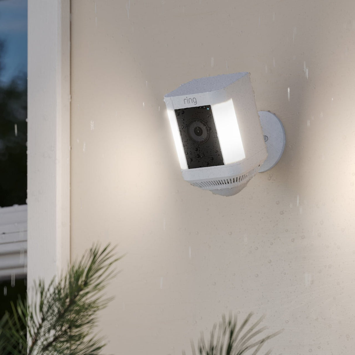 EAN 840268901219 - Ring Spotlight Cam Plus Battery Caja Cámara de seguridad IP Exterior 1920 x 1080 Pixeles Techo/pared imagen 2