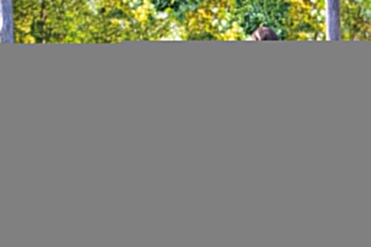 EAN 4008110347448 - Herlitz UltraLight Plus Tropical Chill juego de mochila escolar Chica Poliéster Marina, Rosa imagen 8