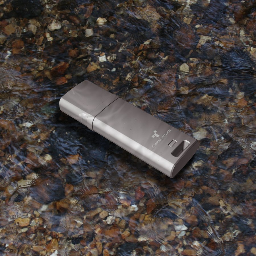 Datalocker Dl Go 256bit - Flash-Memoria - Sin Clasificar Dlgo-004 - Flash-Memoria - Sin Clasificar