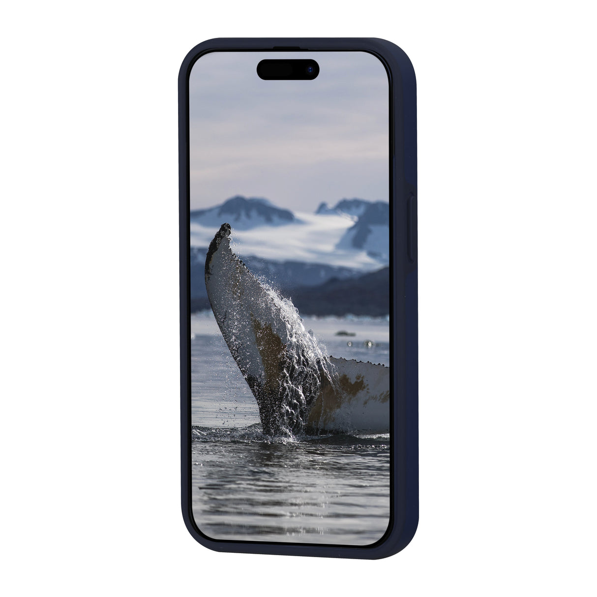 EAN 5711428019127 - dbramante1928 Iceland Ultra D3O MS funda para teléfono móvil Azul imagen 4