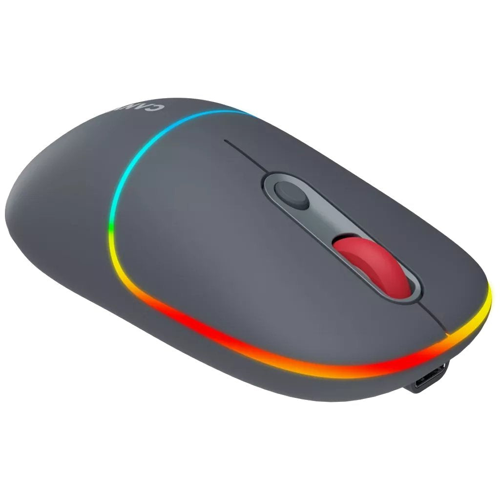 Canyon Raton 2in1 Bt/Inalambrico Mw-22 Gris Oscuro