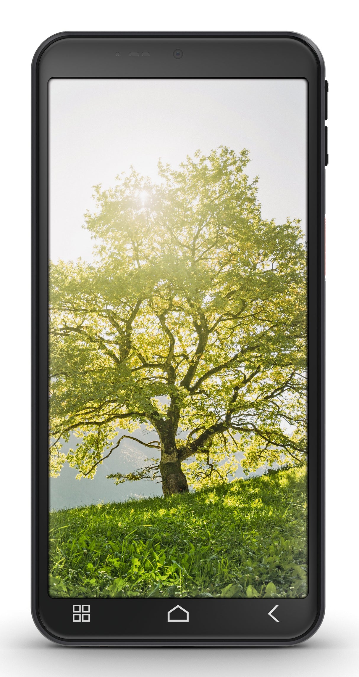 EAN 9005613169039 - Emporia emporiaSMART.ME7 13,8 cm (5.45") SIM única Android 15 4G USB Tipo C 6 GB 128 GB 3500 mAh Negro imagen 5