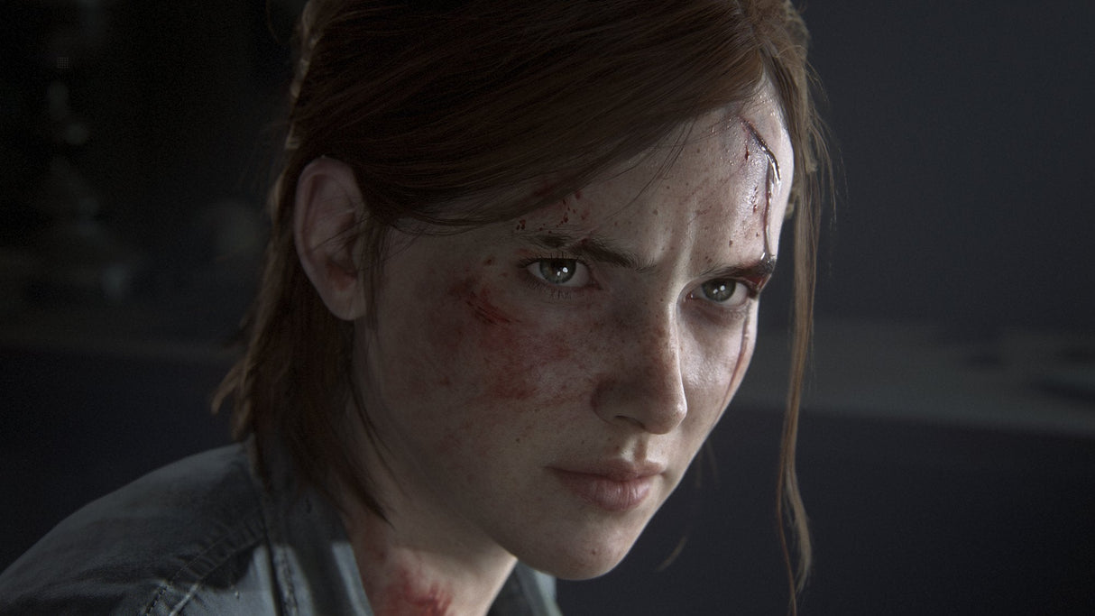 Videojuego Para Ps4 The Last Of Us Parte 2