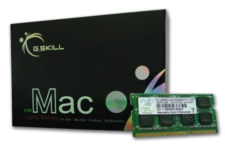 EAN 4711148594233 - G.Skill 4GB DDR3-1066 SQ MAC módulo de memoria 1 x 4 GB imagen 1