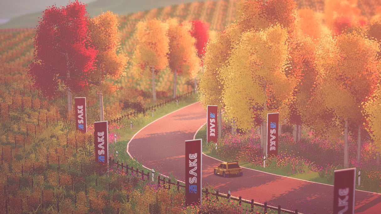 Juego Art Of Rally Deluxe Edition Playstation 5