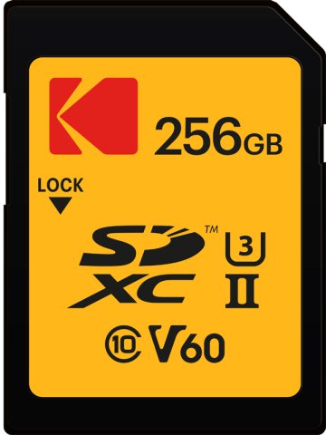 EAN 3126170162380 - Kodak EKMSD256GUHS2V1K memoria flash 256 GB SDXC UHS-II Clase 10 imagen 1
