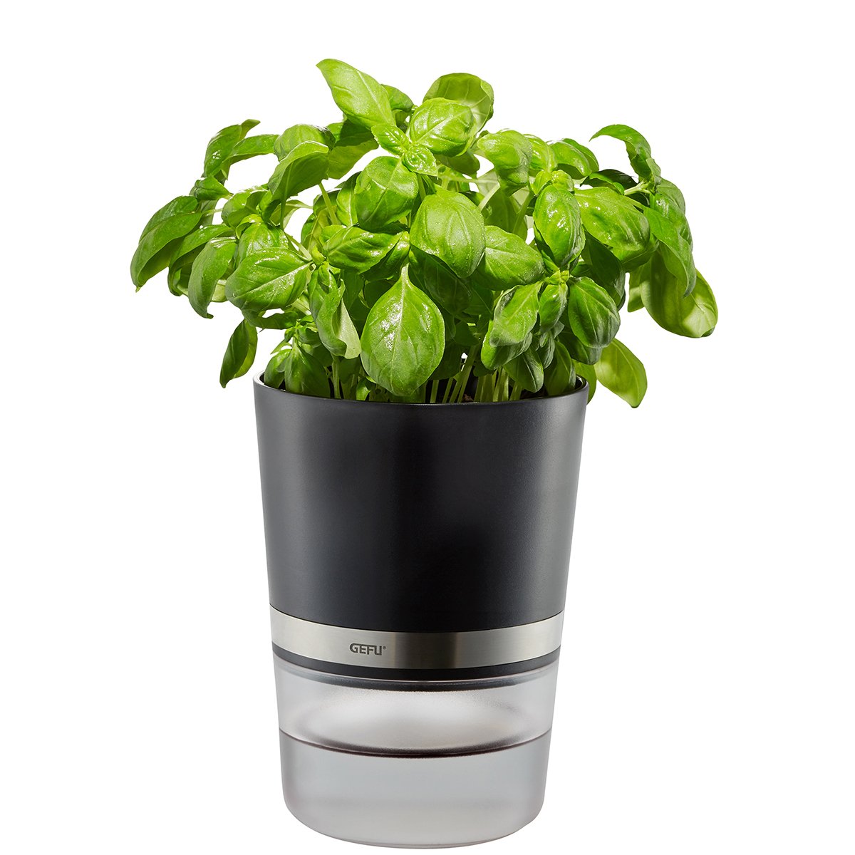 Gefu Botanico Herb Pot