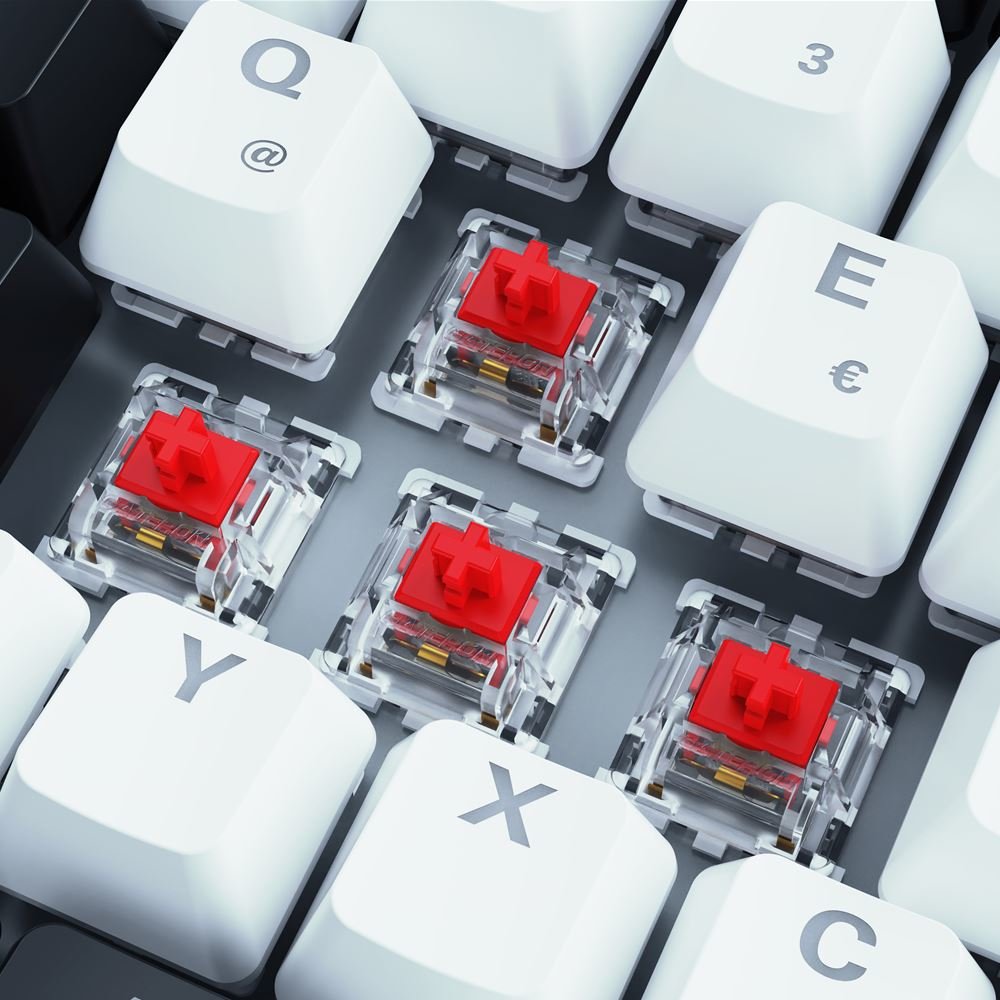 EAN 4044951039166 - Sharkoon SKILLER SGK50 S3 teclado Juego USB QWERTY Alemán Blanco imagen 3