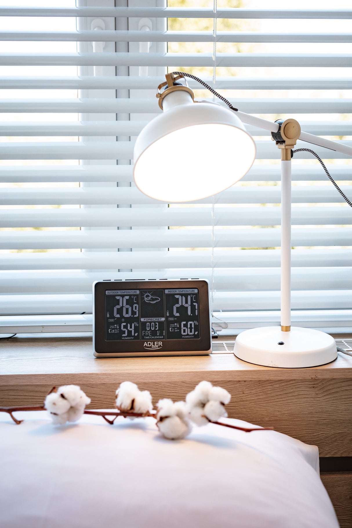 Estación Meteorológica Adler Ad 1175