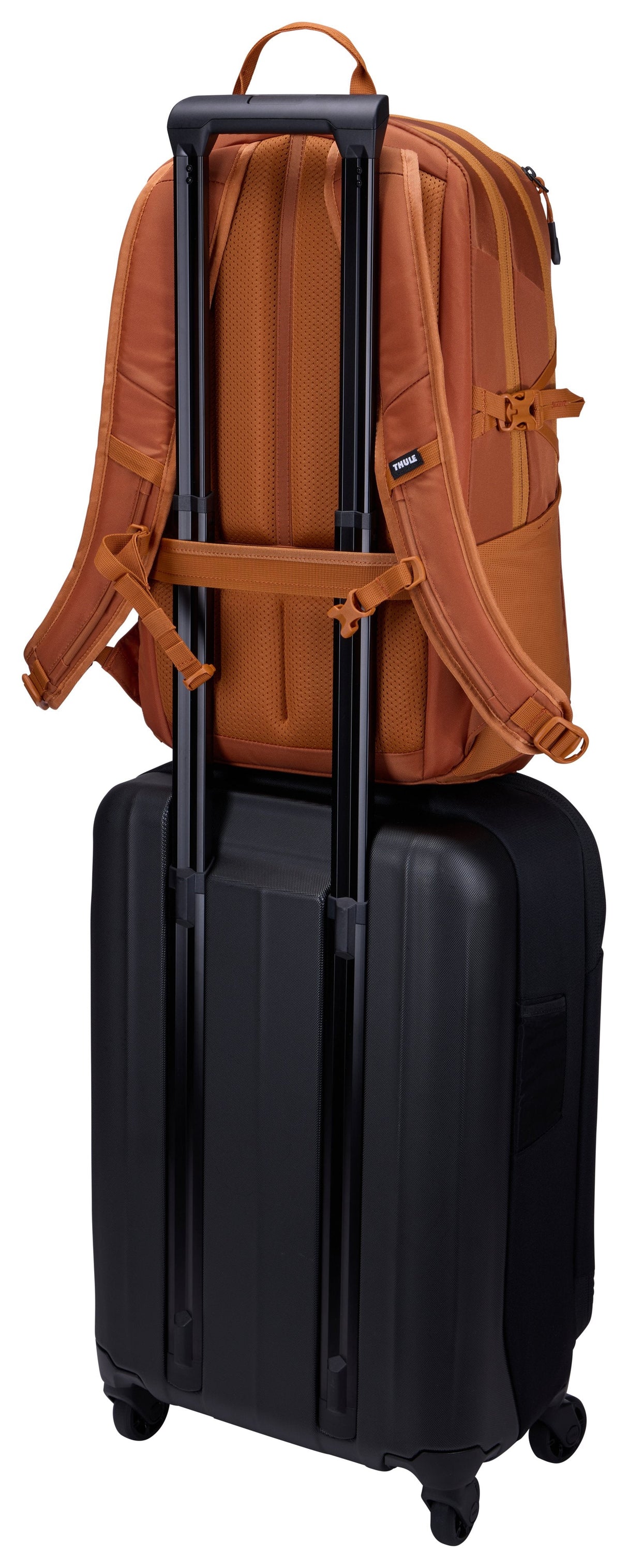 EAN 0085854257183 - Thule EnRoute TEBP4216 Natural orange mochila Mochila informal Naranja Nylon imagen 10