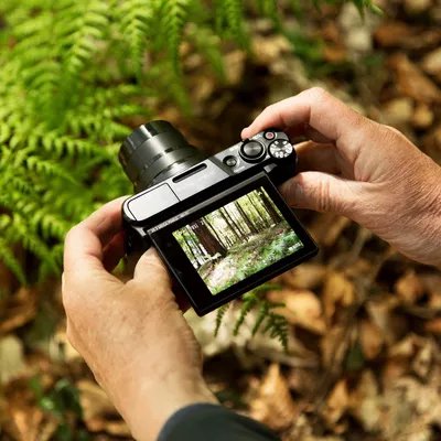 Canon Powershot Sx740 Hs Lite Negro