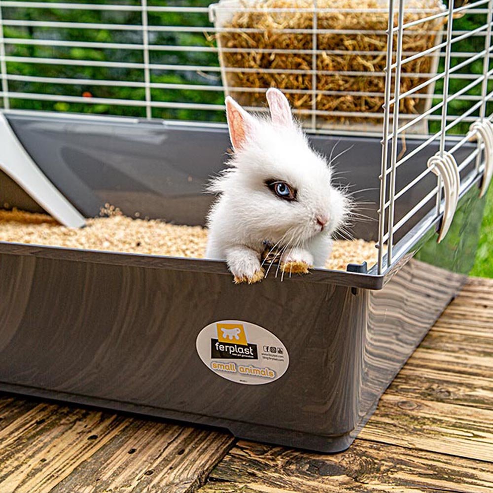 EAN 8010690101590 - Ferplast Rabbit 100 Cobaya, Rabit Gris, Blanco imagen 3