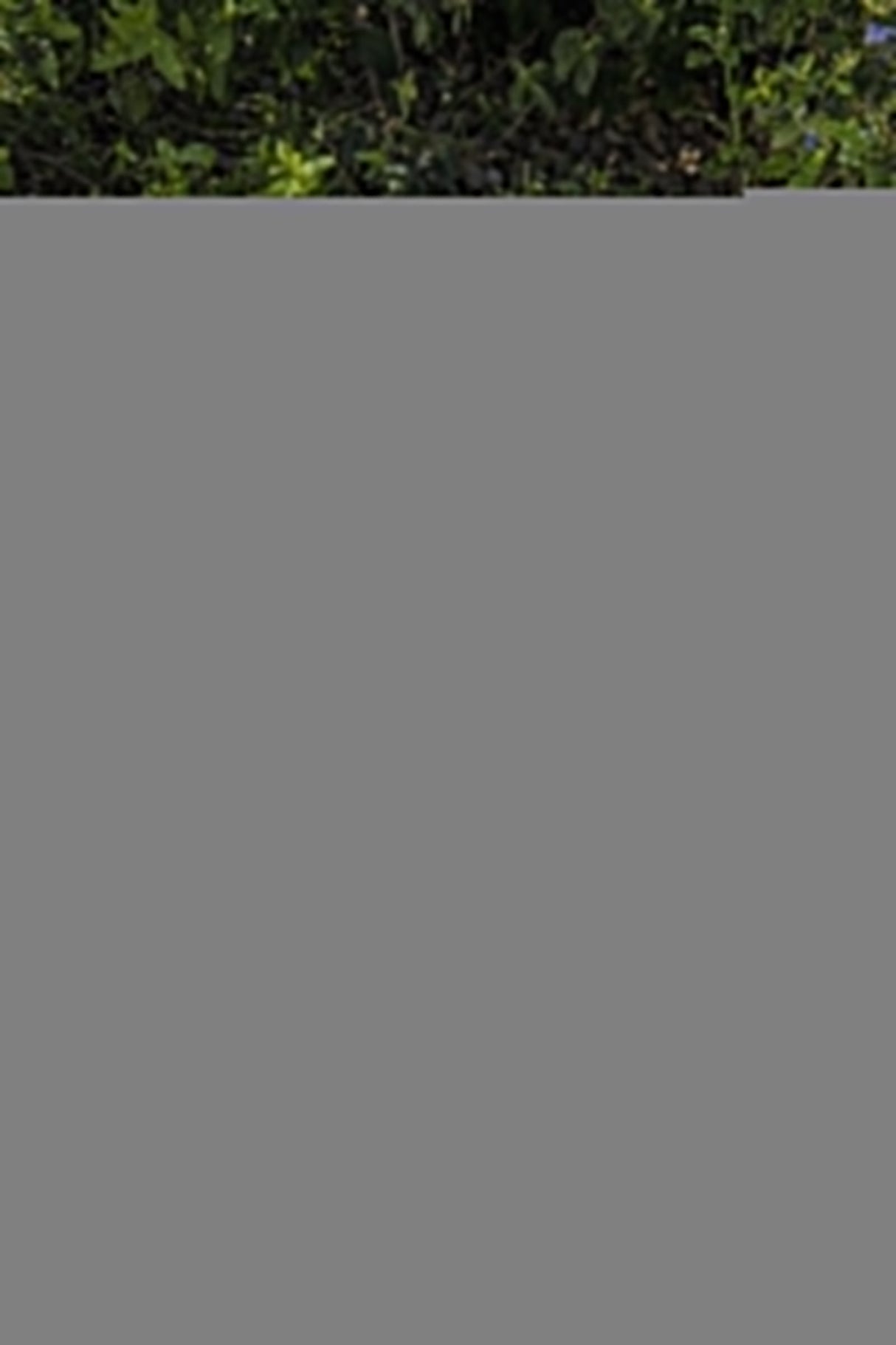 Desbrozador Inalámbrico Kärcher Ltr 18-30