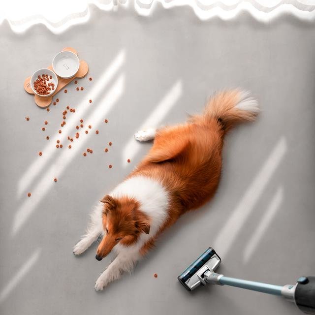 Aspiradora Cecotec Conga Rockstar 1600 Advance Sin Cables / Sin Bolsa Azul