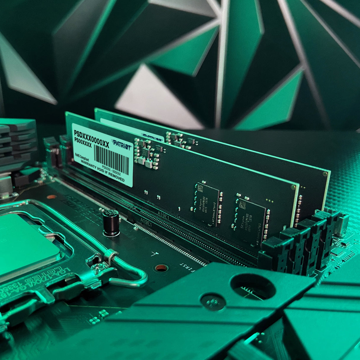 Memoria Patriot Memory Signature Line Ddr5 16 Gb 1 X 16 Gb 5600 Mhz (Psd516g56002)