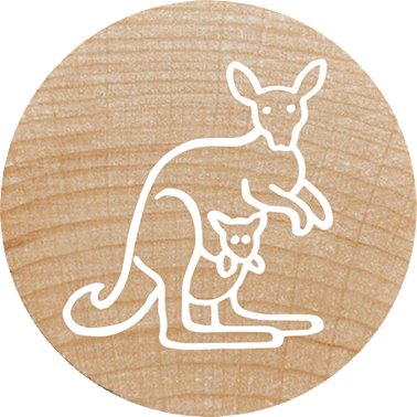 Colop Woodies Mempel-Set "Exotic Animation" Retail