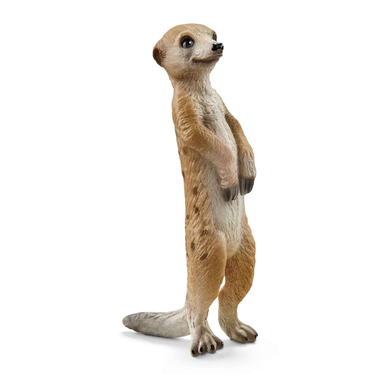 EAN 4055744029820 - schleich Vida Salvaje 42475 set de juguetes imagen 12