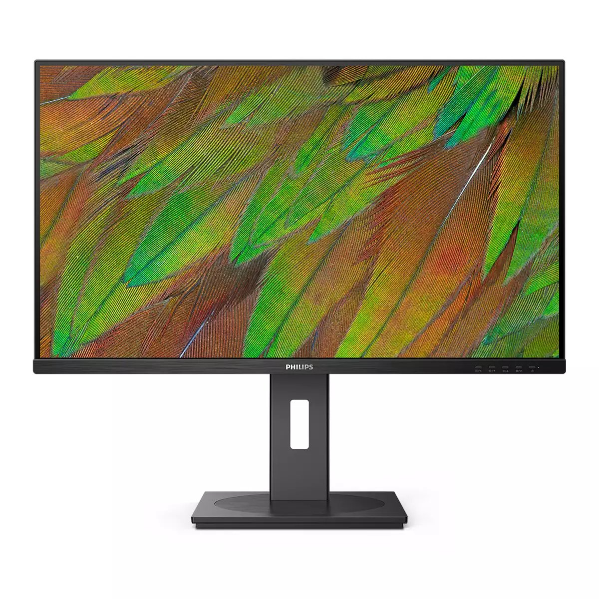 EAN 8721038001211 - Philips 3000 series 32B1U3900/00 pantalla para PC 80 cm (31.5") 3840 x 2160 Pixeles 4K Ultra HD LCD Negro imagen 5