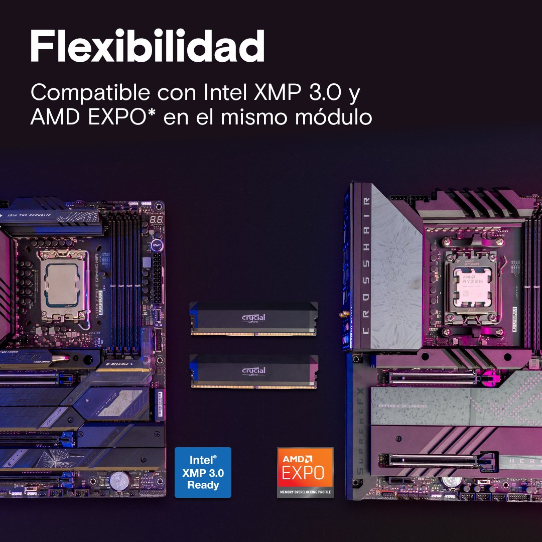 EAN 0649528946980 - Crucial Pro CP2K32G60C40U5B módulo de memoria 64 GB 2 x 32 GB DDR5 288-pin DIMM imagen 4