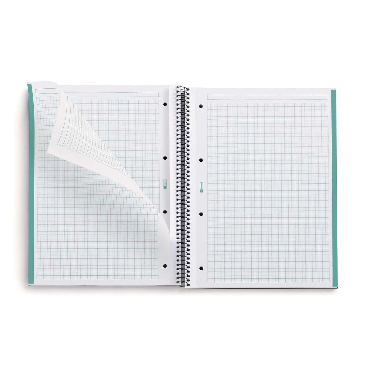 EAN 8422593061336 - MAUL A613351 cuaderno y block A4 80 hojas Verde imagen 2