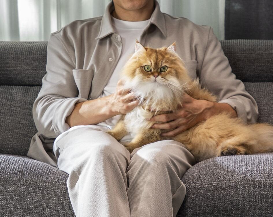 Aspirador Escoba Con Batería Rowenta X Clean 4 Gz5035 Autonomía 50 Min