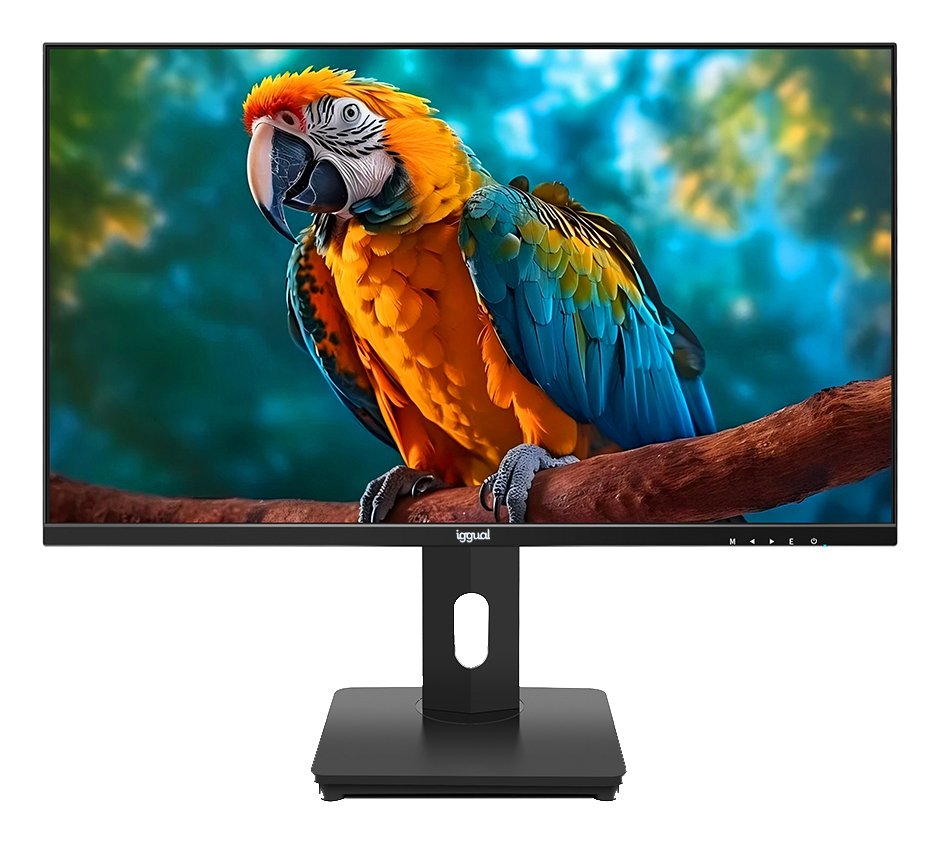 Iggual Monitor 24" Fhd Pivotante Ajustable Altura