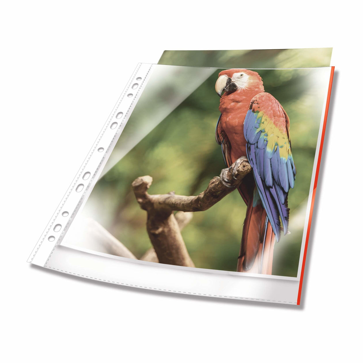 Durable Prospekthüllen A4 Oben Offen 25 Mück Glasklar, Rot