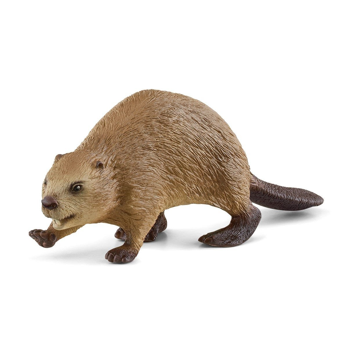Schleich Castor Vida Salvaje 14855