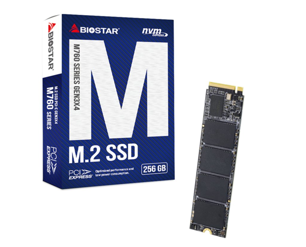 Dysk Ssd Biostar M760 256gb