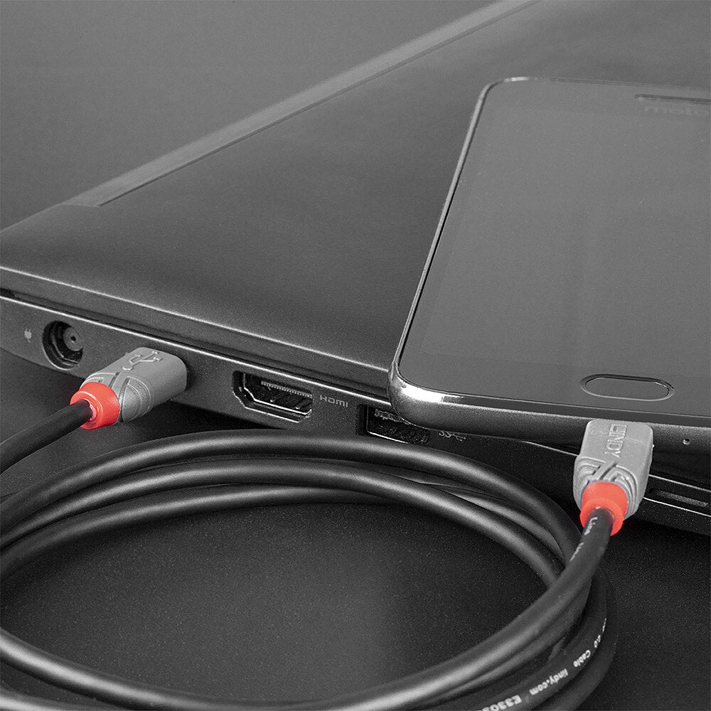 EAN 4002888368919 - Lindy 36891 cable USB USB 2.0 1 m USB C Micro-USB B Negro, Gris imagen 3