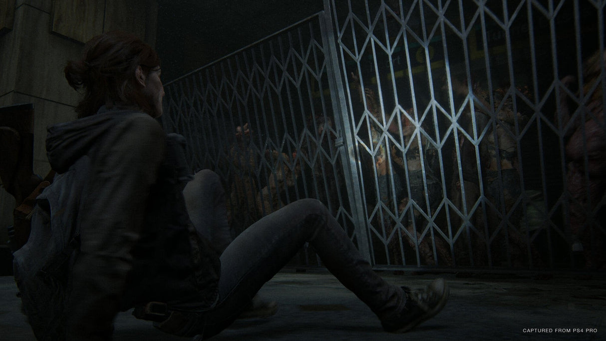 Videojuego Para Ps4 The Last Of Us Parte 2