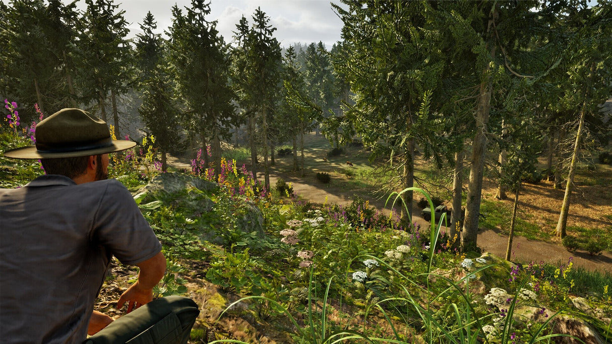 Juego Park Ranger Simulator Playstation 5