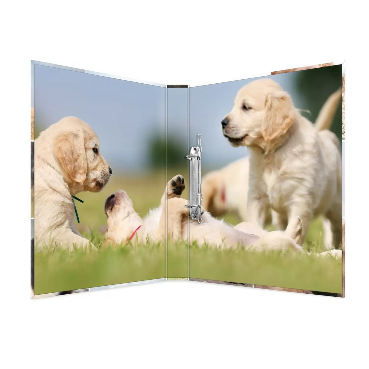 Carpeta De Anillas A4 Hunde 2d