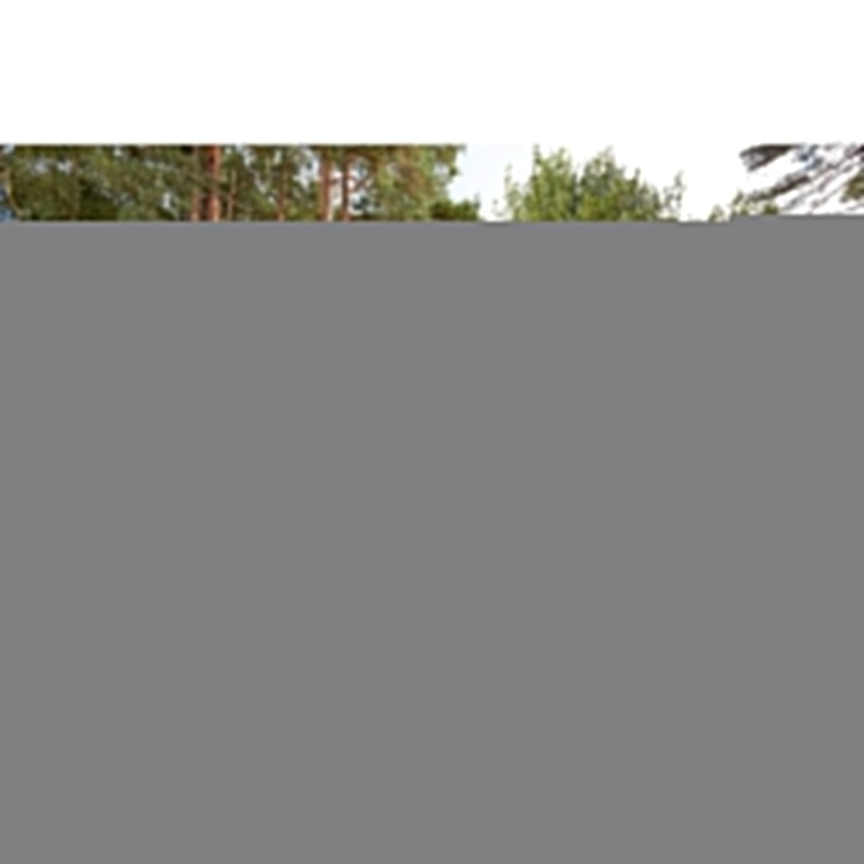 Cortacésped Black+Decker Bemw451bh-Qs De Empuje A Gasolina Corriente Alterna Negro, Naranja Naranja/Negro