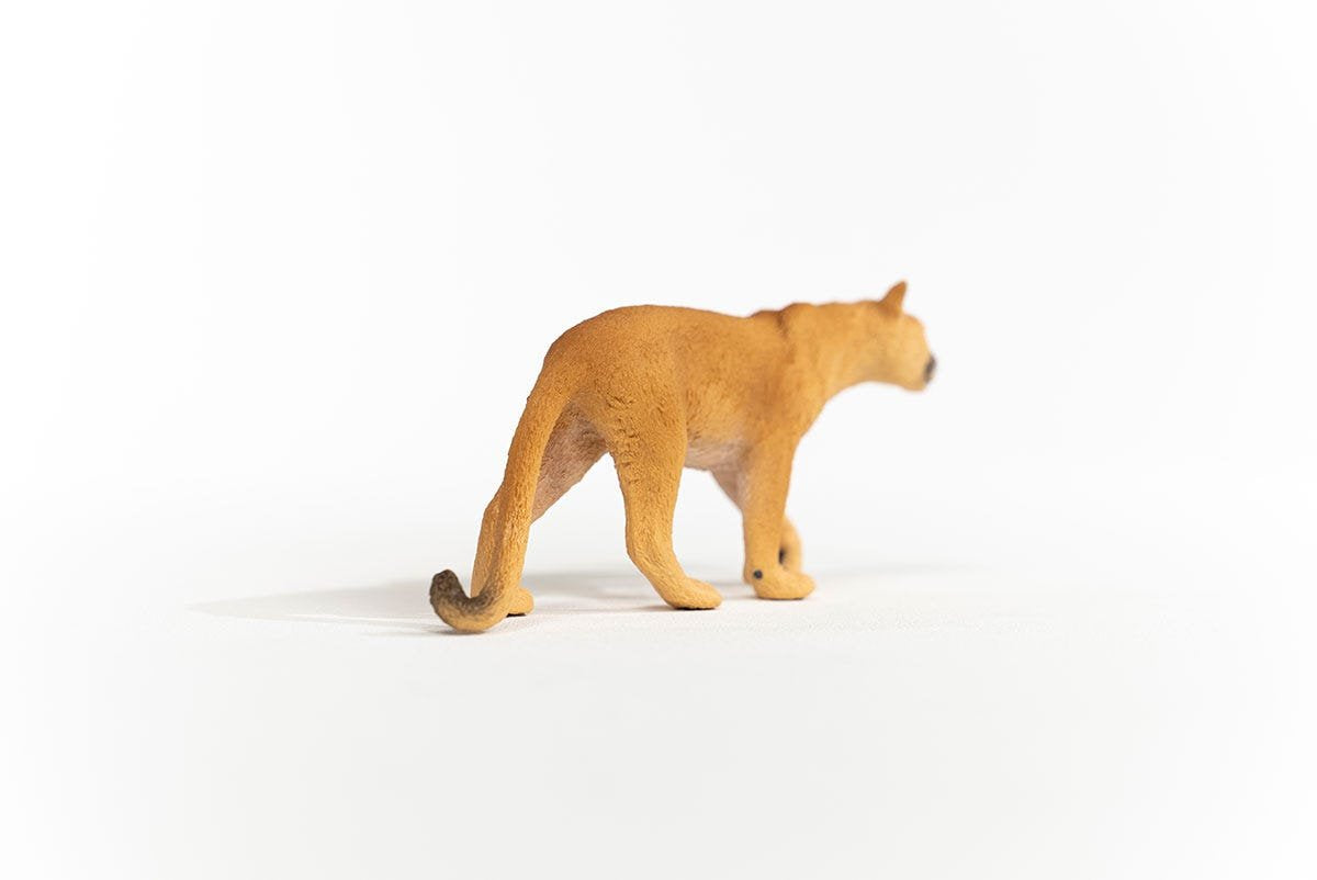 EAN 4059433364575 - schleich Vida Salvaje 14853 figura de juguete para niños imagen 4