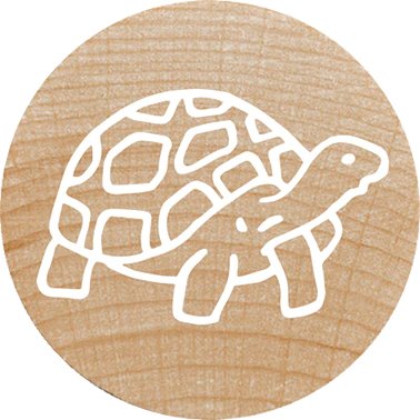 Colop Woodies Mempel-Set "Exotic Animation" Retail