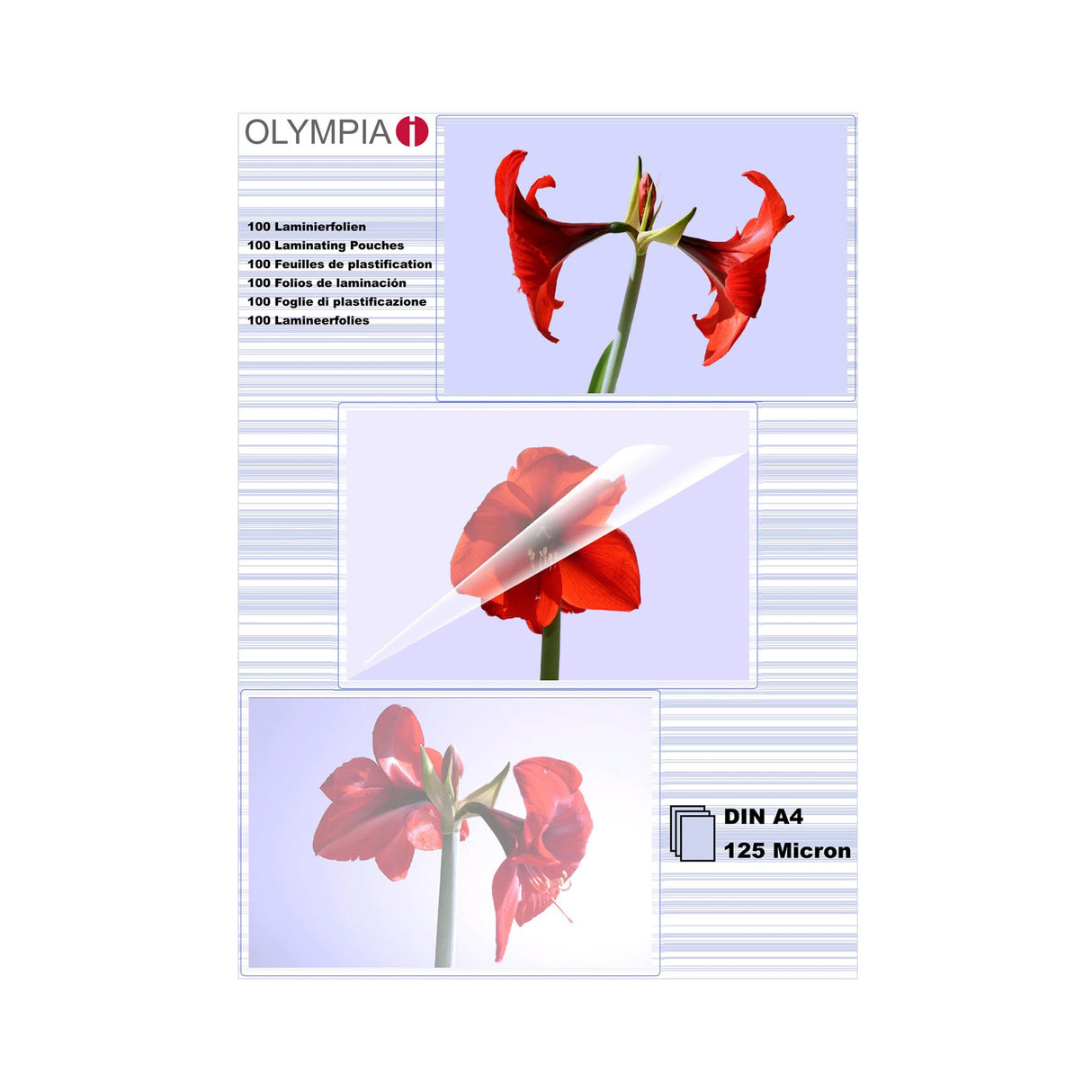 EAN 4030152091768 - Olympia 1x100 DIN A4 125 micron plastificador 100 pieza(s) imagen 1