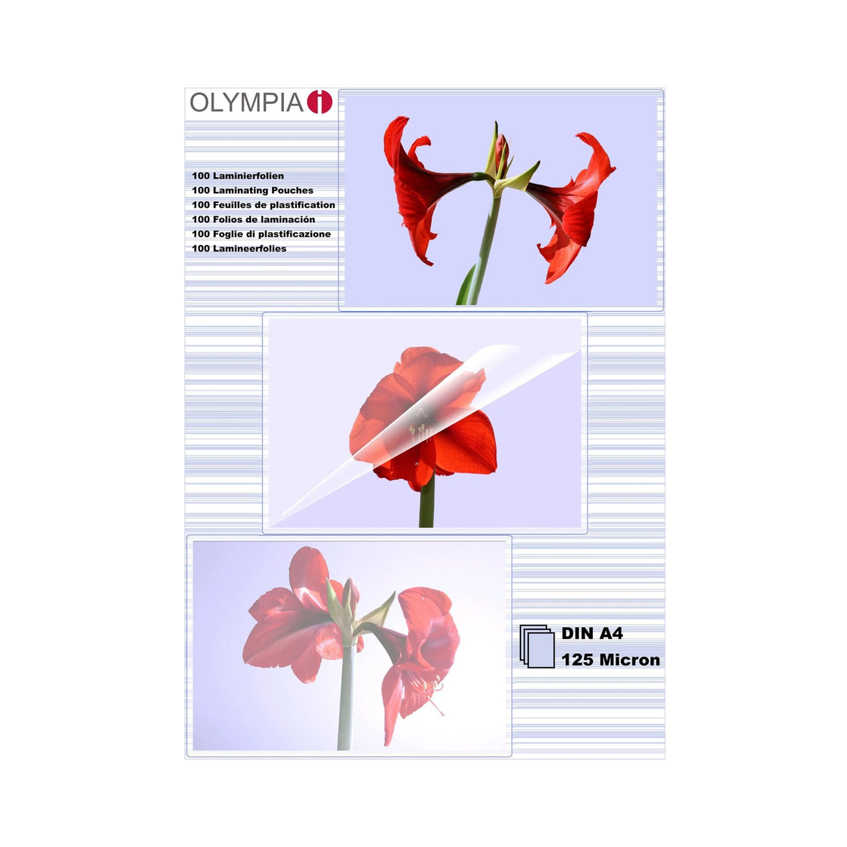 1x100 Olympia Fundas Para Plastificar Din A4 125 Micras 9176